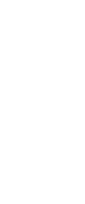Estrasburgo's Minecraft skin